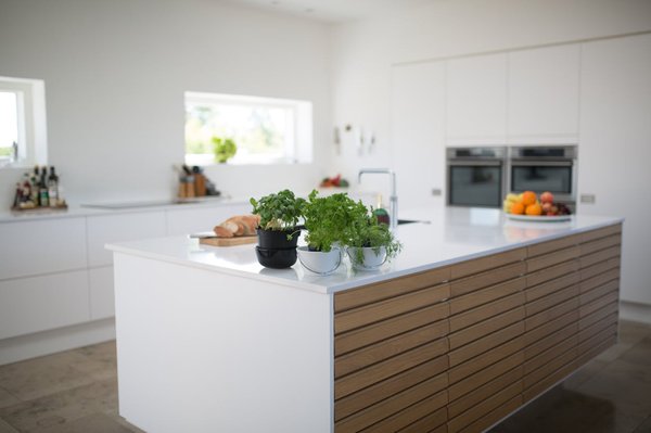 Creating the Perfect Kitchen for Embracing a Raw Food Lifestyle
